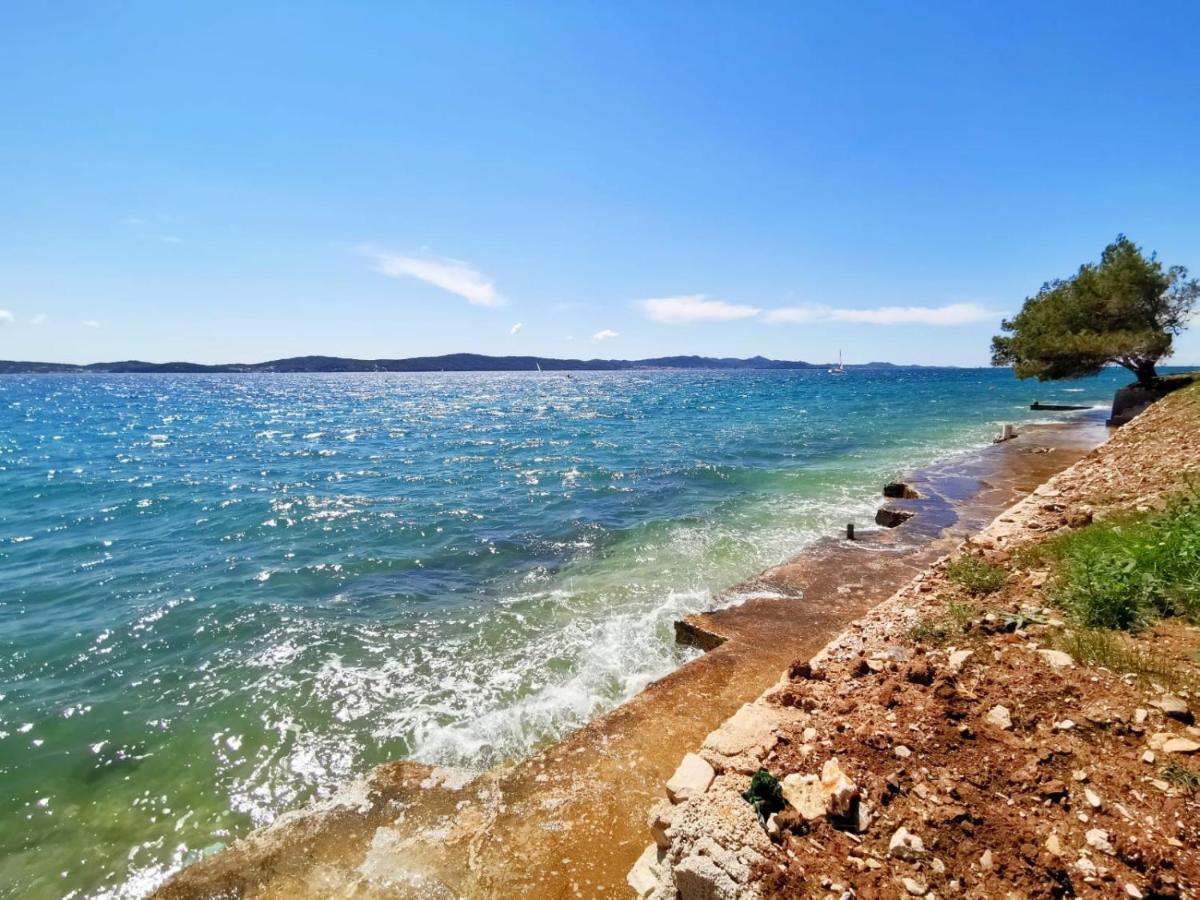 Sea Dream Apartments Bibinje Eksteriør bilde